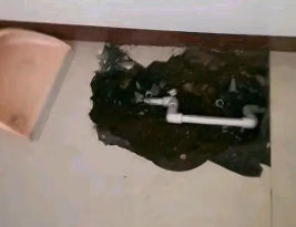 澄海卫生间测漏水多少钱